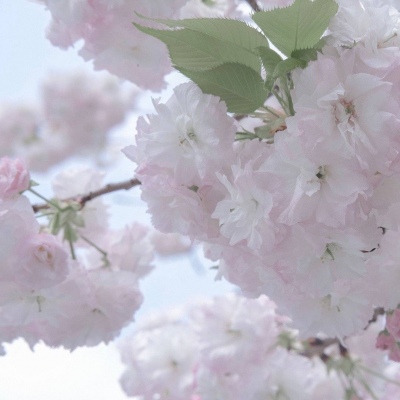 Furry插画风格探索思路兽圈群